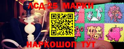 гашик Белореченск