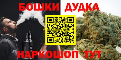 apvp Бердск