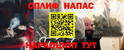 apvp Бердск