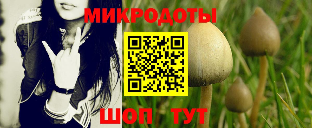Кашира  Галлюциногенные грибы Psilocybine cubensis  цены наркотик  Вход с VPN 